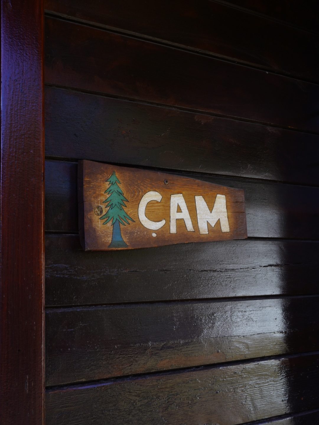 Cam