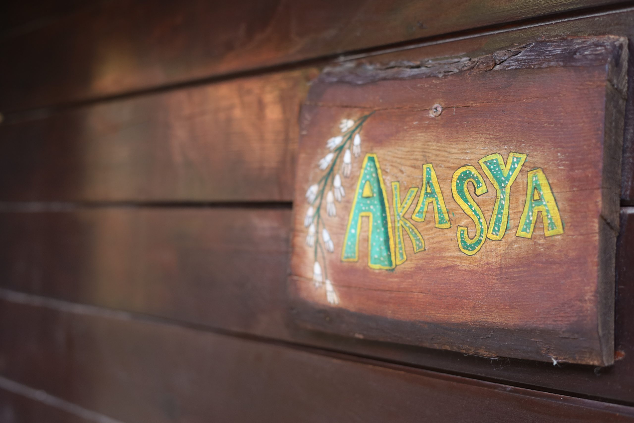 Akasya